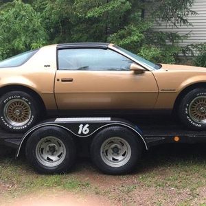 Meet your Posher, Luke